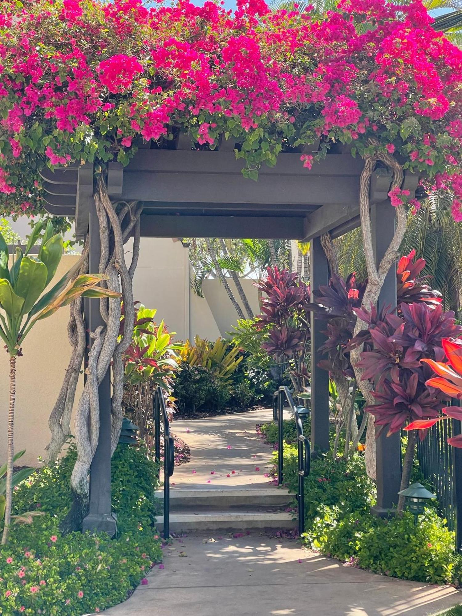 Apartamento Tropical Maui Kamaole B-Bldg Wailea  Exterior foto